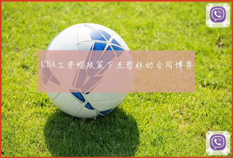 CBA工资帽政策下王哲林的合同博弈
